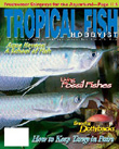 Tropical Fish Hobbyist