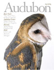 Audubon