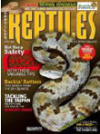 Reptiles